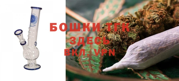 PSILOCYBIN Беломорск