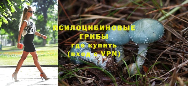 дживик Баксан