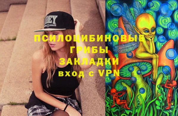 дживик Белоозёрский