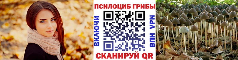 Псилоцибиновые грибы MAGIC MUSHROOMS  Мариинский Посад 